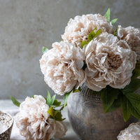 Artificial Peony Stem