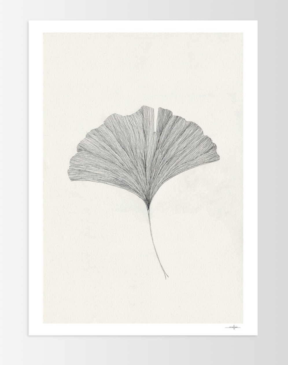 Ana Frois, Poppy