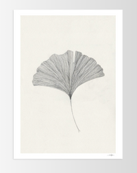 Ana Frois, Poppy