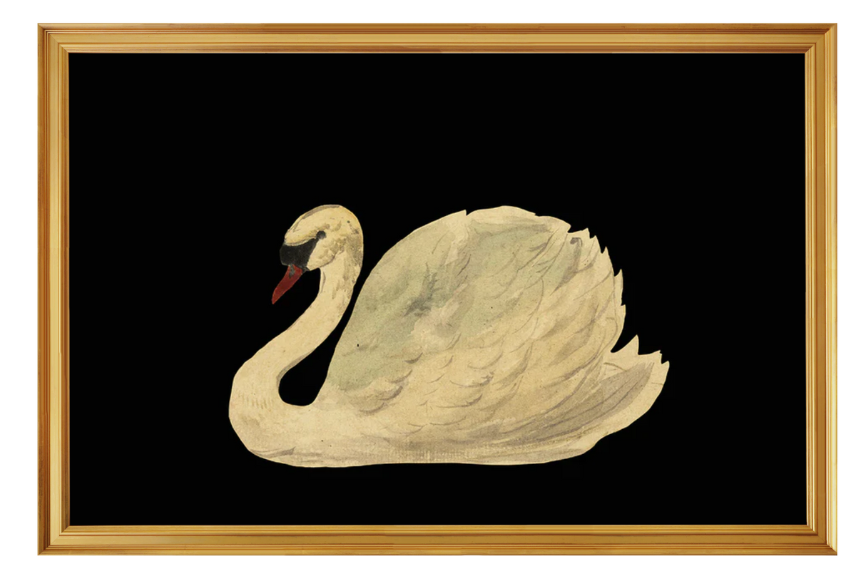 Swan Art