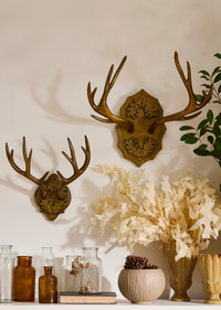 Oakdale Antler Wall Mount