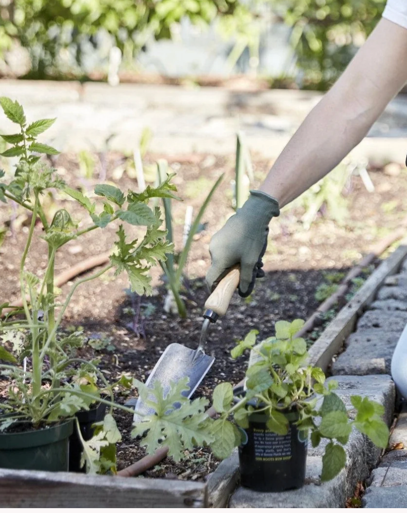 Garden Gloves