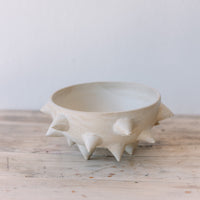 Spike Bowl