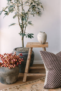 Ash Vase