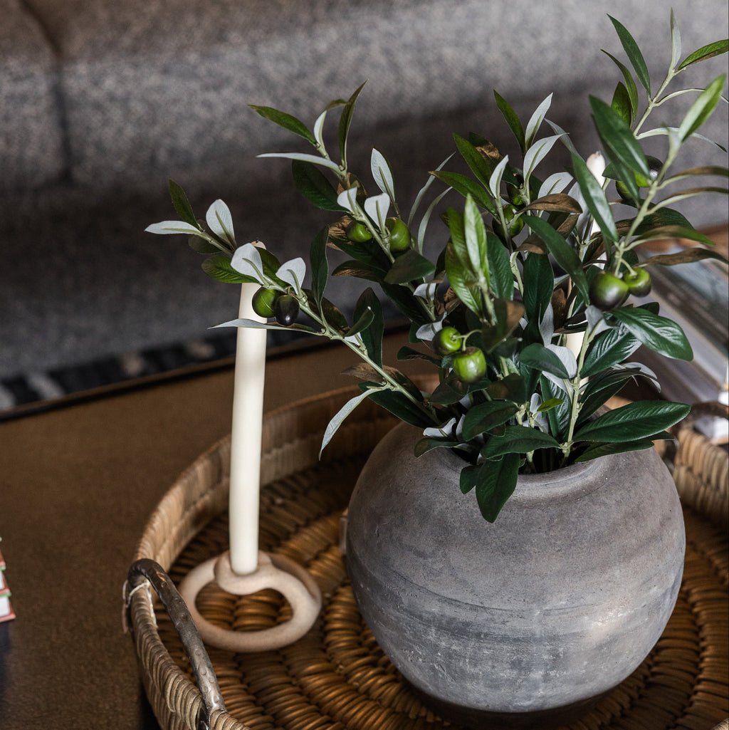 16" Olive Plant