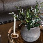 16" Olive Plant