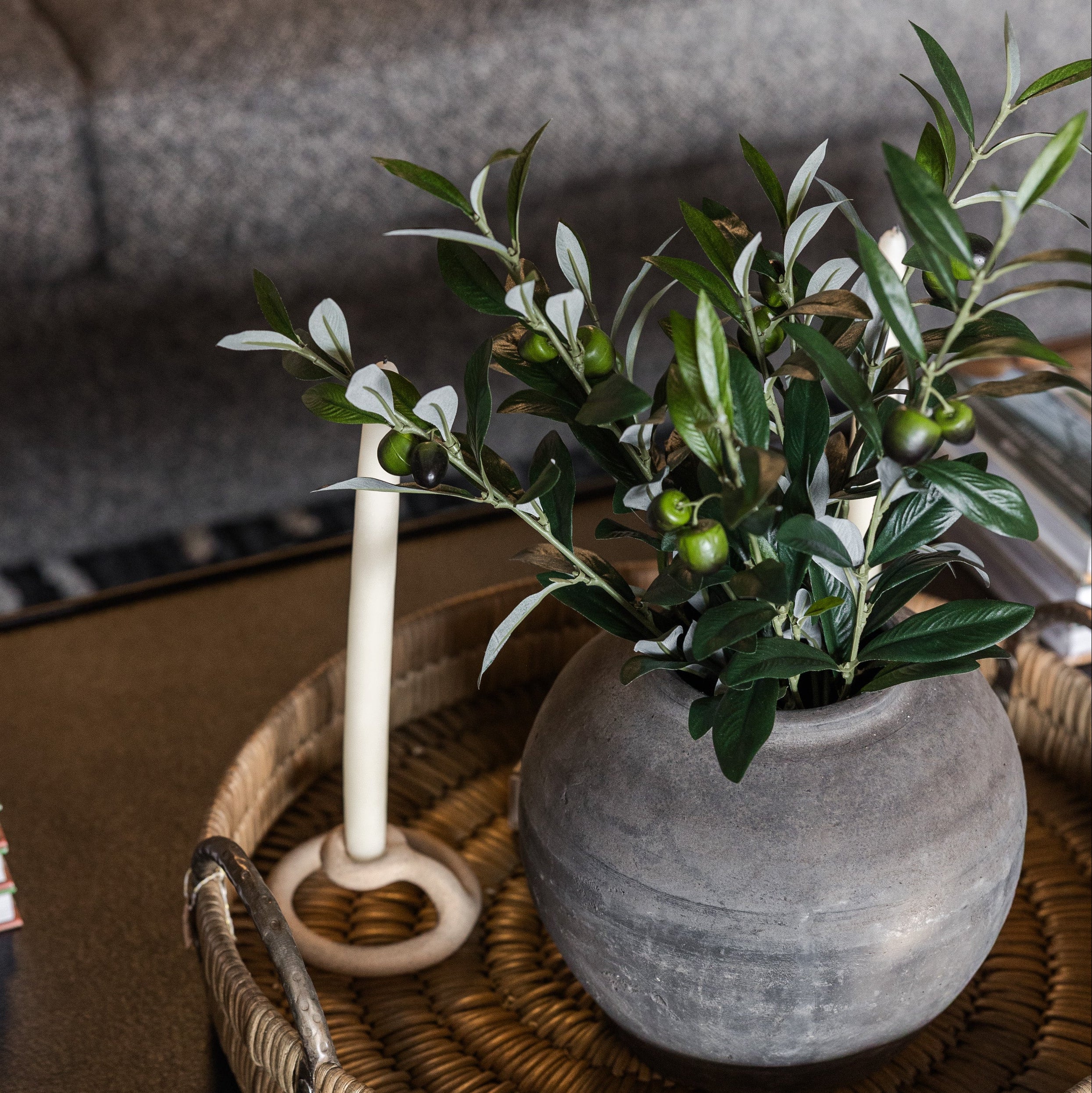 16" Olive Plant