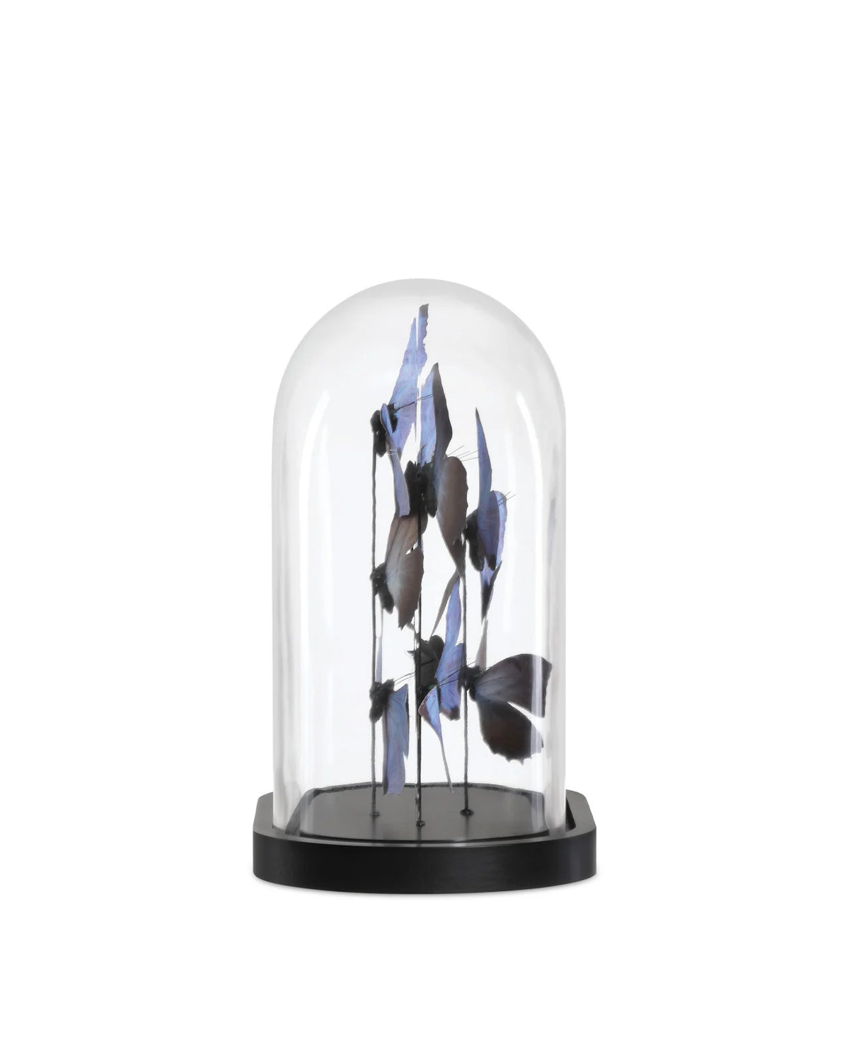 Rue de Bac Lilac Butterflies