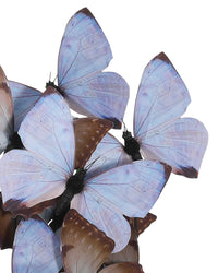 Rue de Bac Lilac Butterflies