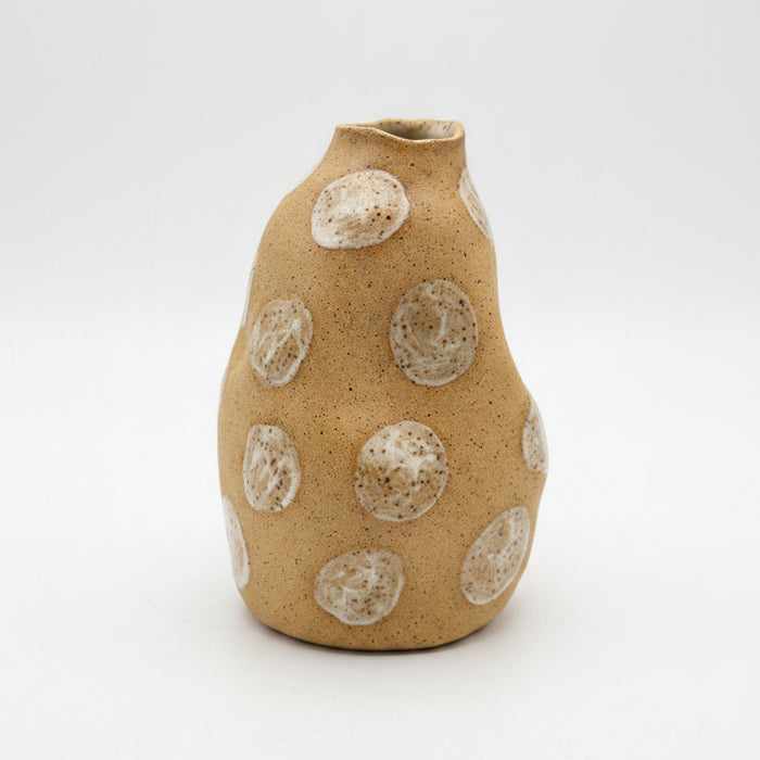 Agave Moon Polka Dot Vase