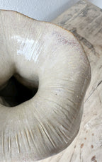Agave Moon Organic Open Vase