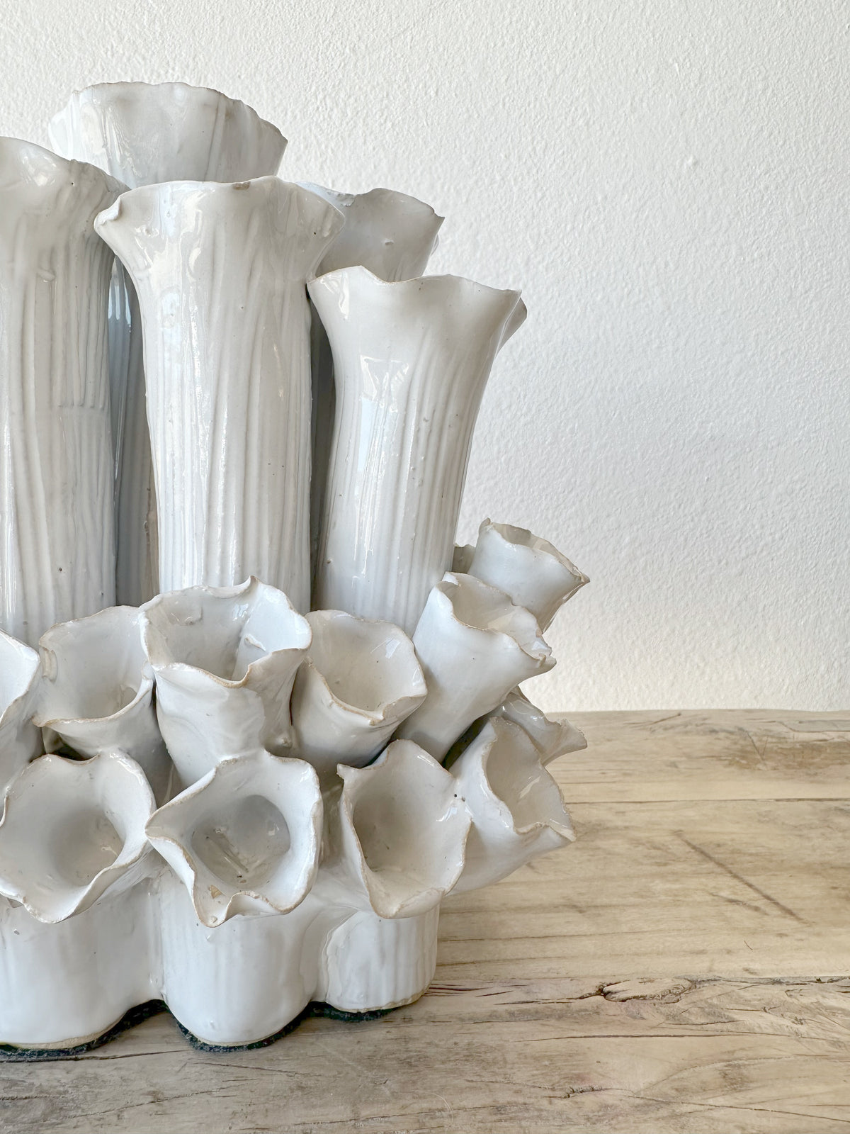 Large Sea Coral Vase