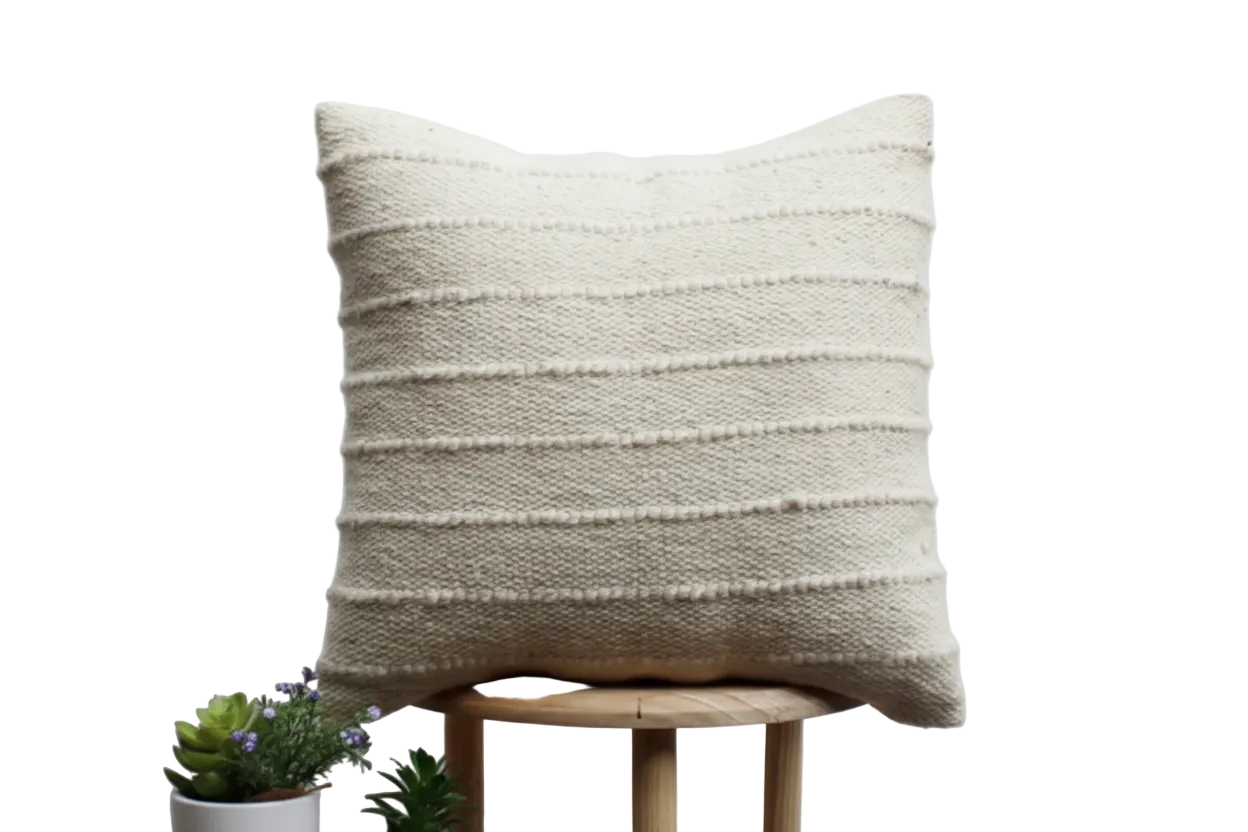 20" x 20" Sakal Natural Pillow Cover w/ Insert
