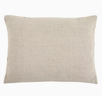 Wilde Velvet Pillow 12 x 16