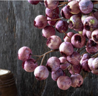 Artificial Hawthron Berry Eventide