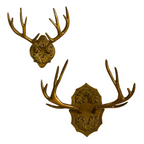 Oakdale Antler Wall Mount