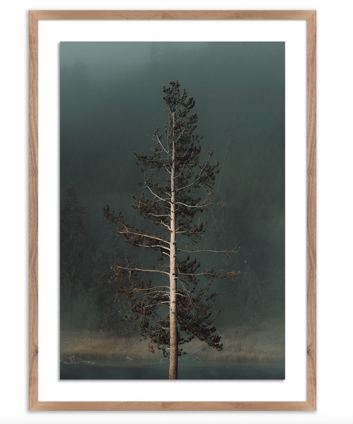 Winds I by Mandy Steinback