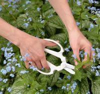 Japanese Floral Clippers