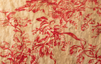 Argia Throw Pillow