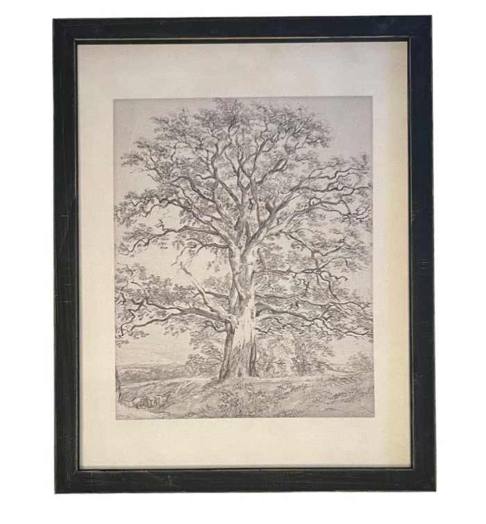 Vintage Framed Canvas Art