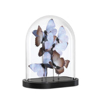 Rue de Bac Lilac Butterflies